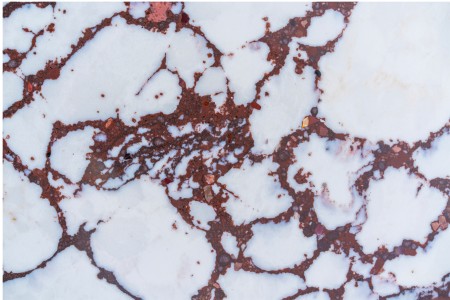 M1339 Calacatta Burgundy