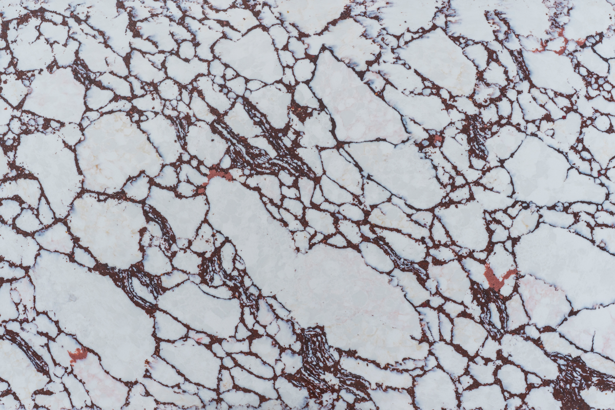 M1339 Calacatta Burgundy