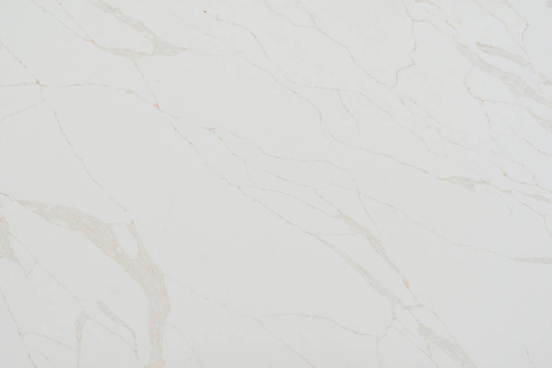 M1311 Calacatta Grace