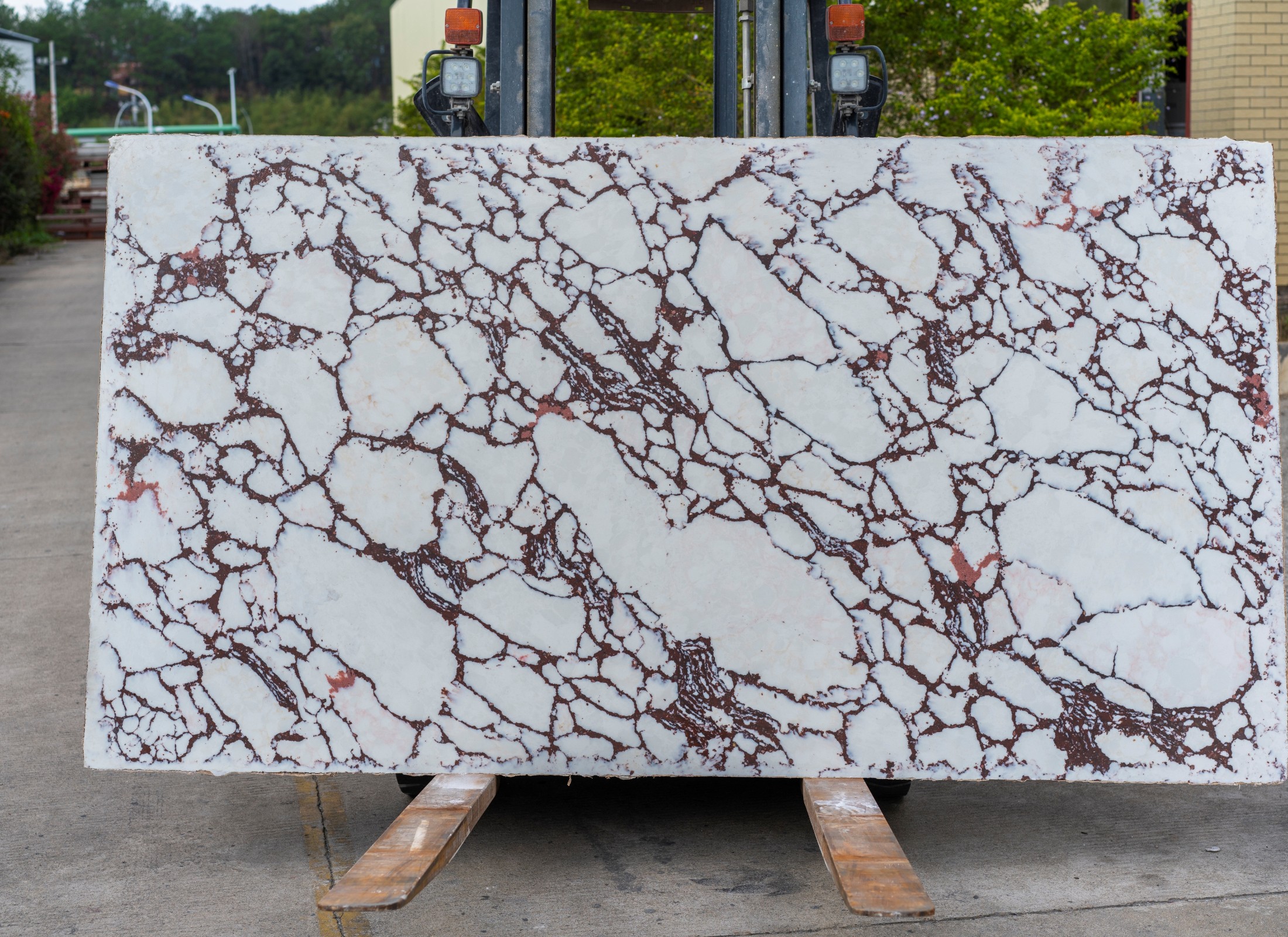 M1339 Calacatta Burgundy