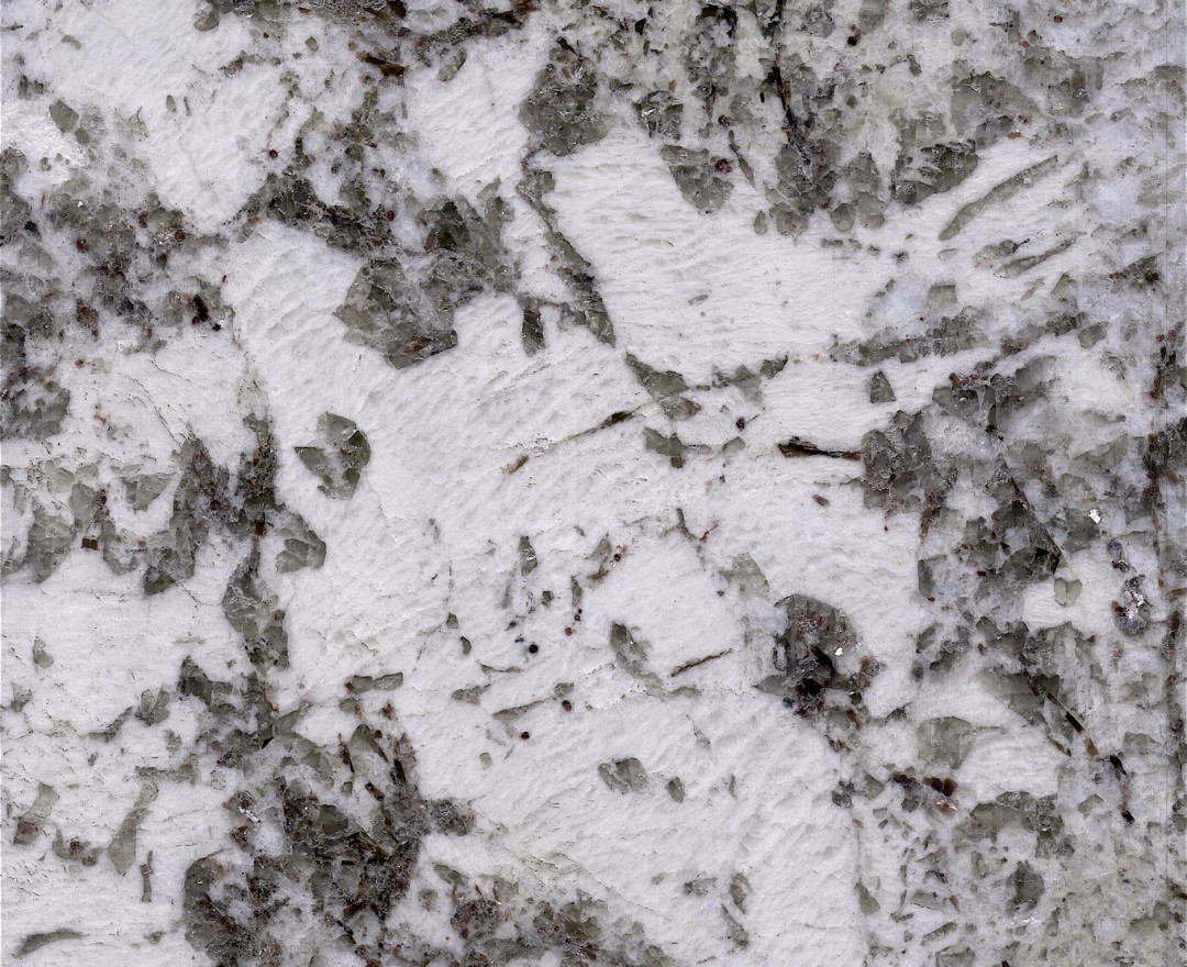 阿拉加斯白 Alaska white