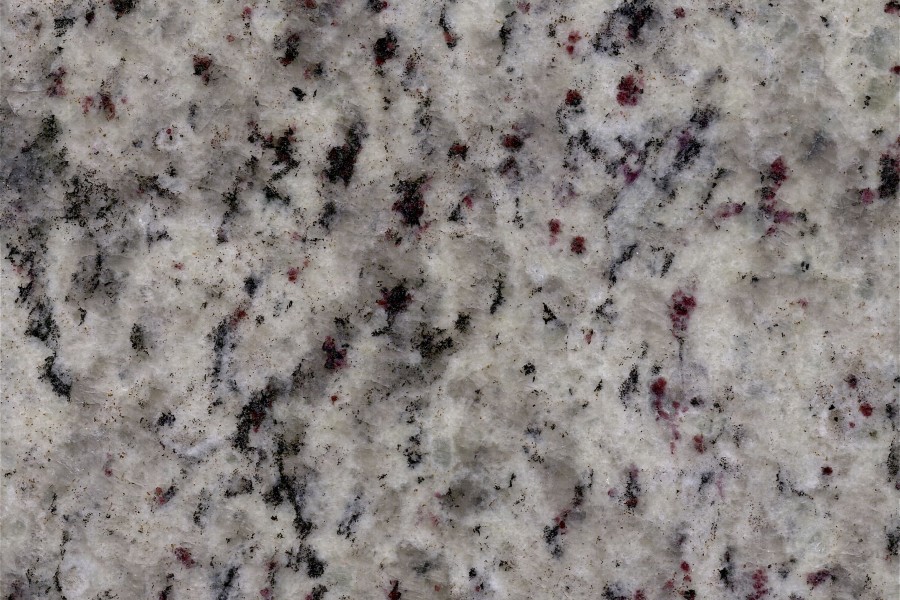 白玫瑰(White Rose)