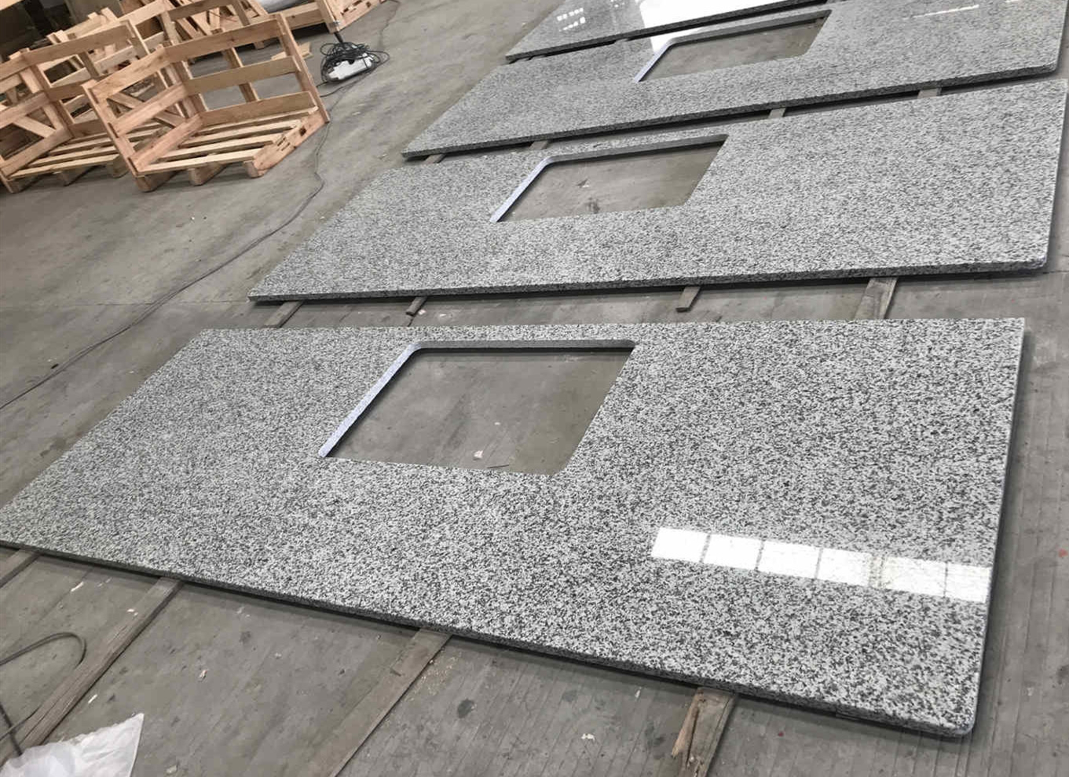 吉林白New Luna Pearl