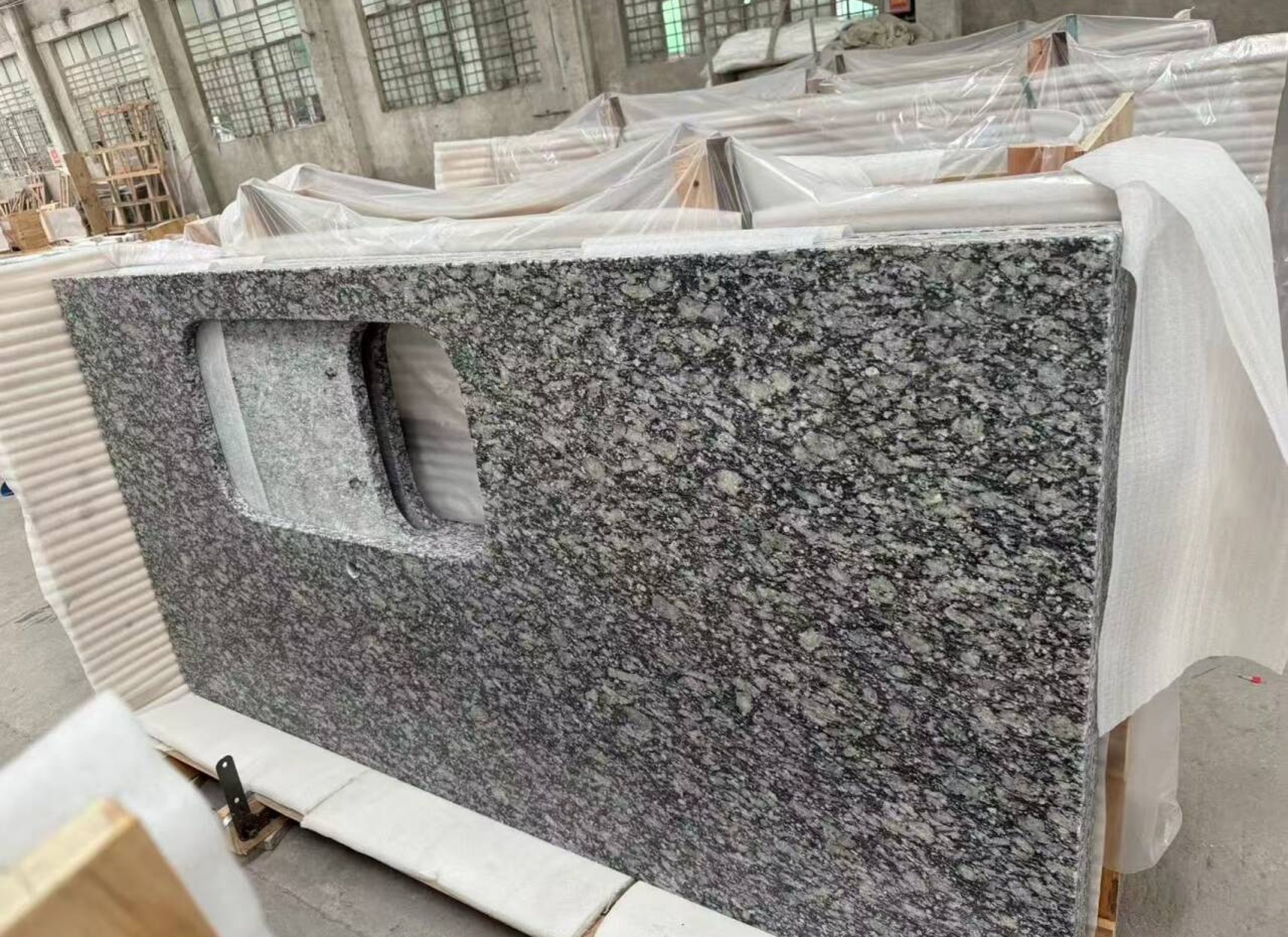 浪花白 White Oyster