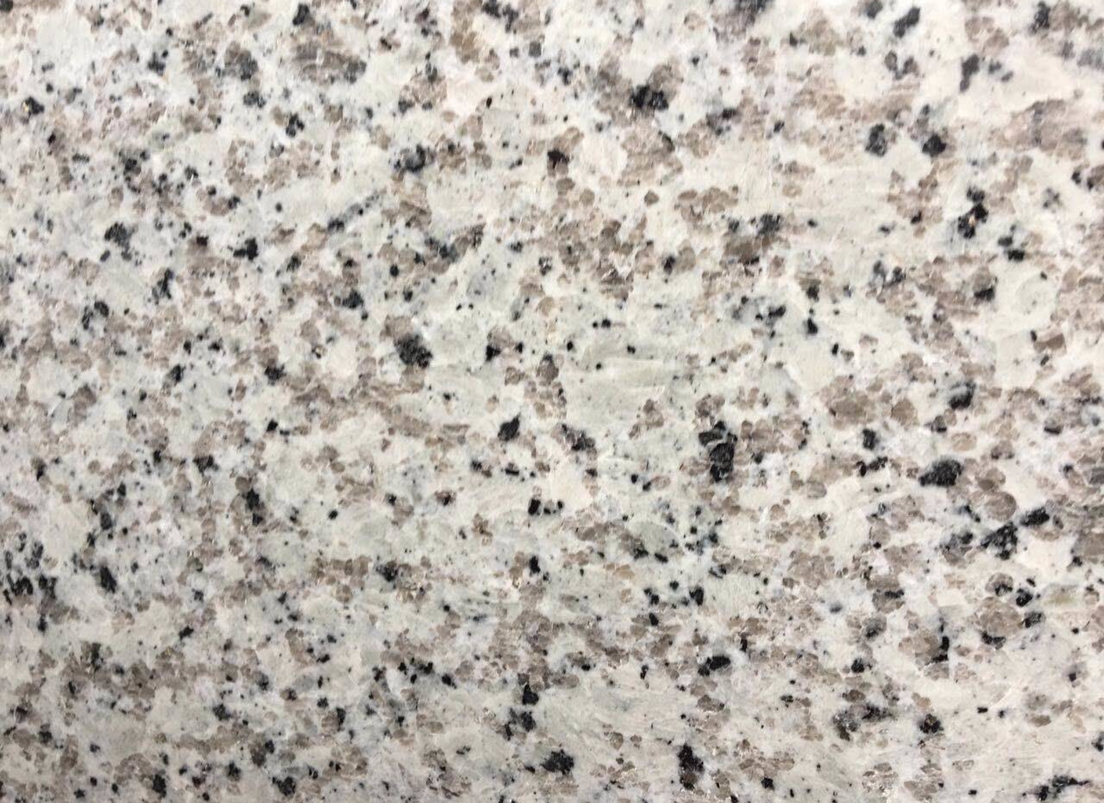 巴拉白 Bala white